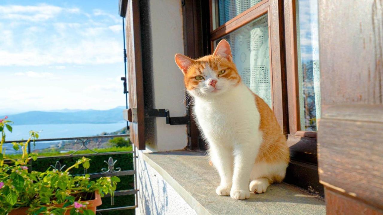 Chrissi Nefeli Apartment Agios Georgios Nilias Luaran gambar